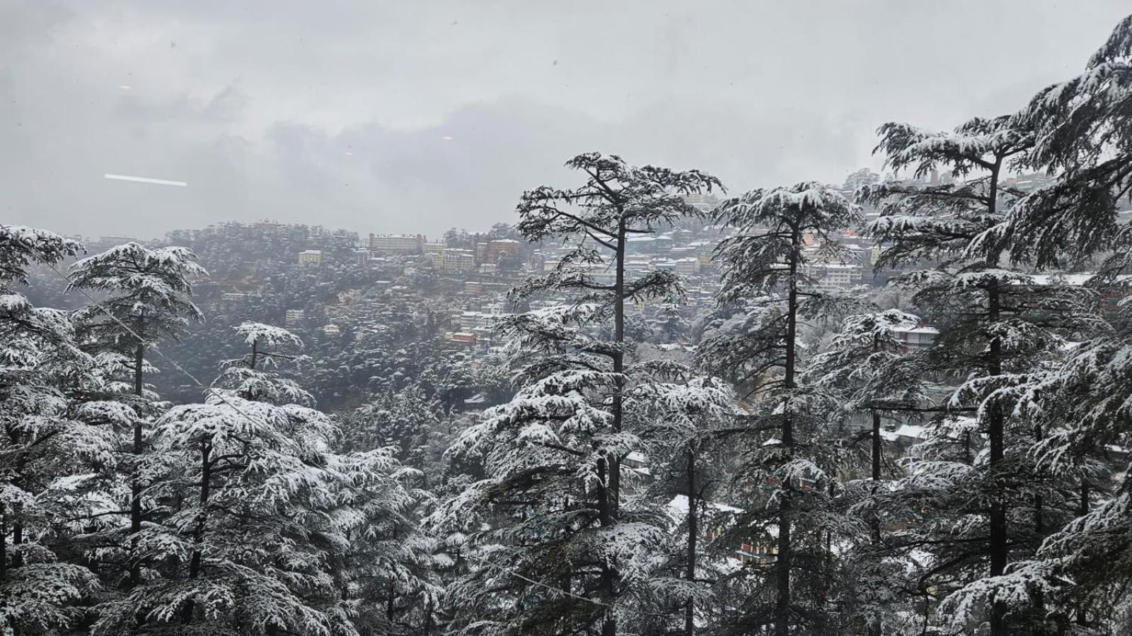 Mountain Zest- Simla Royale Near Mall Road Free Pickup From Railway Station Simla Exteriör bild